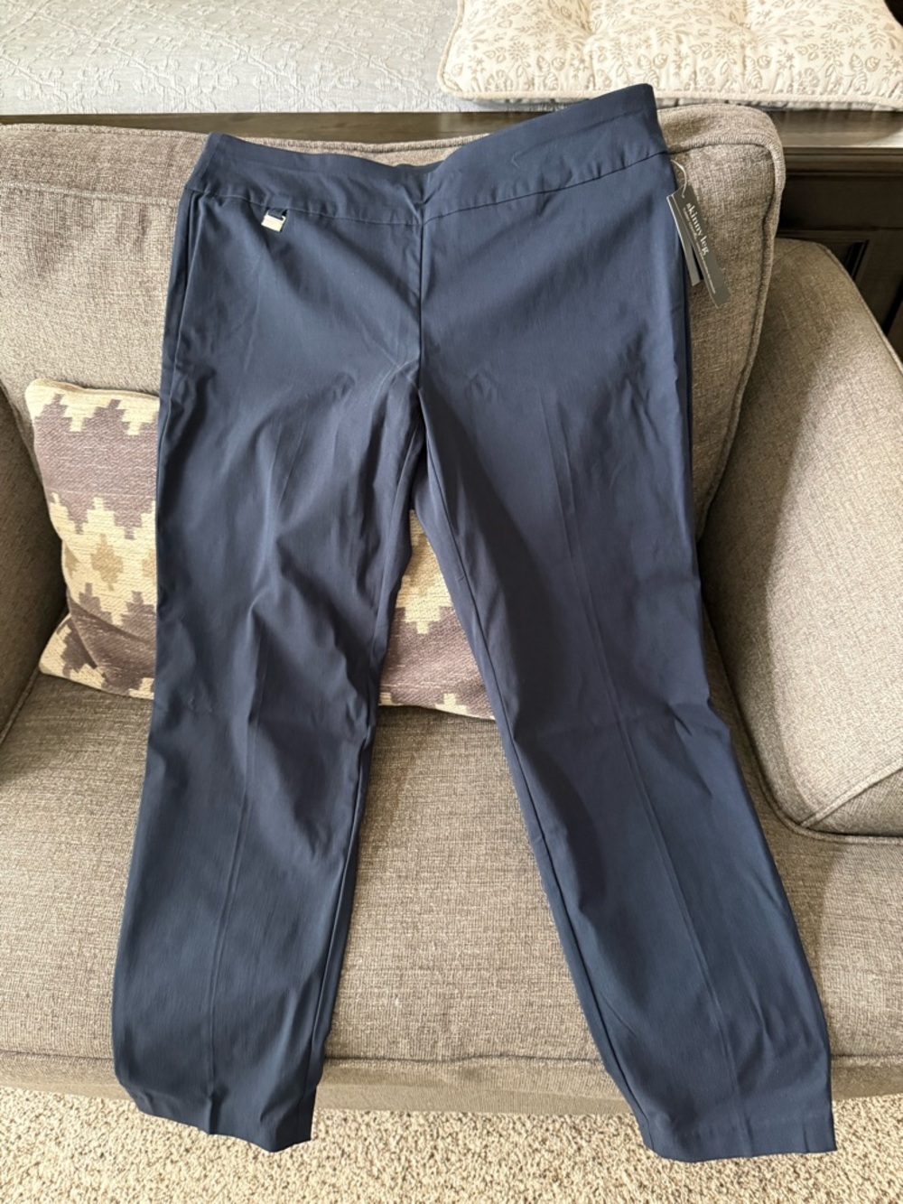 Savvy Modern Navy Stretch Pants